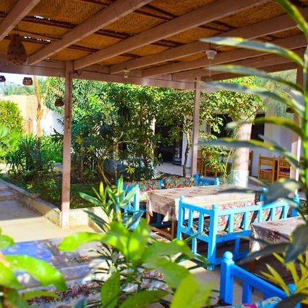 Rose Guest House Louxor Extérieur photo