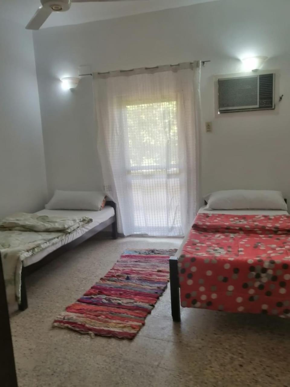 Rose Guest House Louxor Extérieur photo
