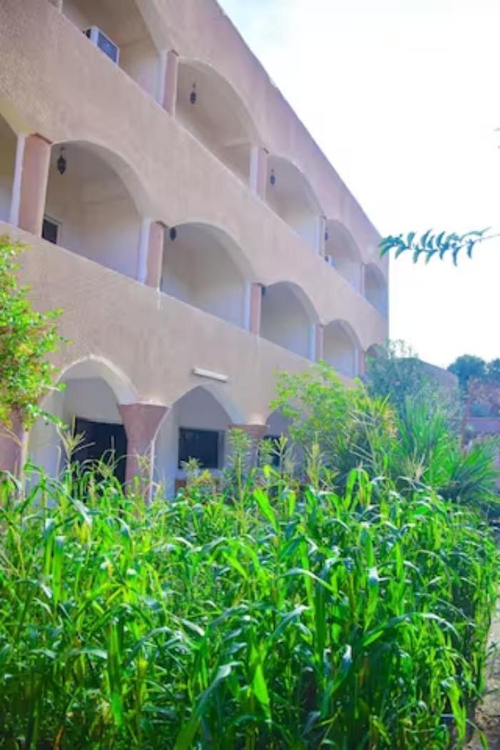 Rose Guest House Louxor Extérieur photo