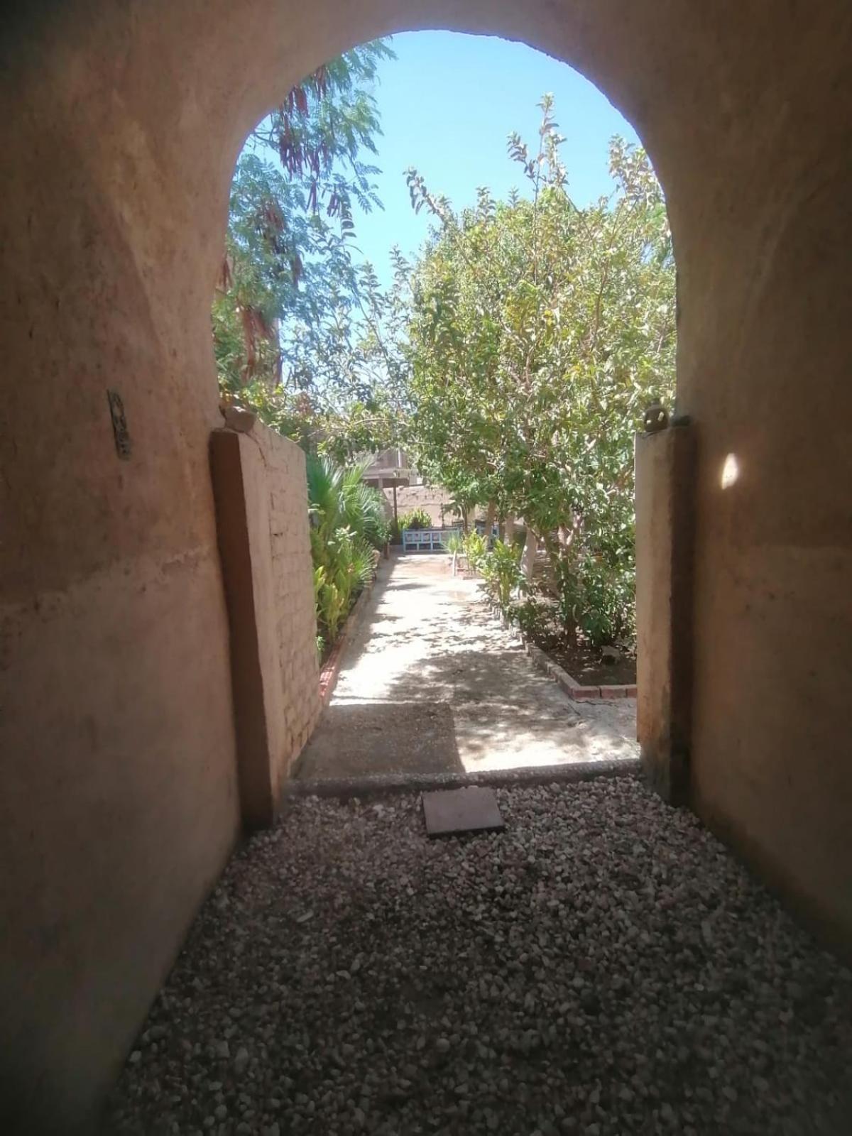 Rose Guest House Louxor Extérieur photo