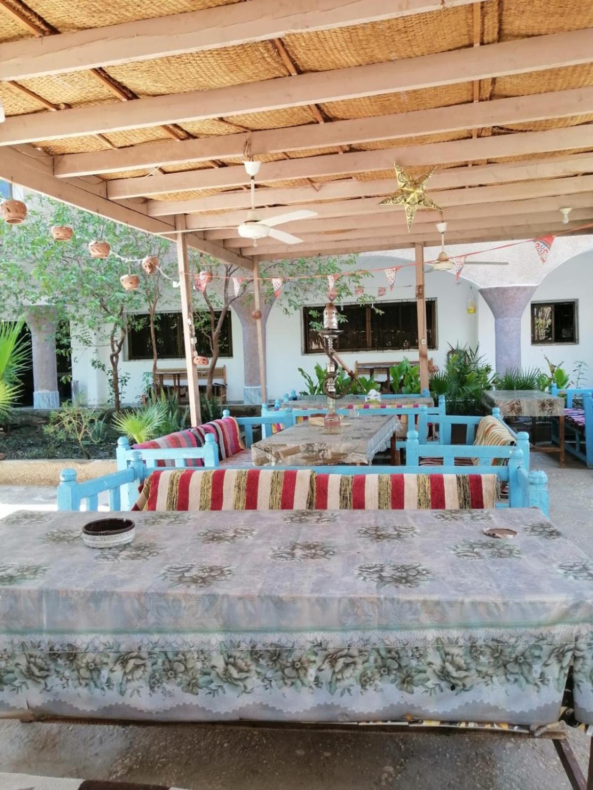Rose Guest House Louxor Extérieur photo