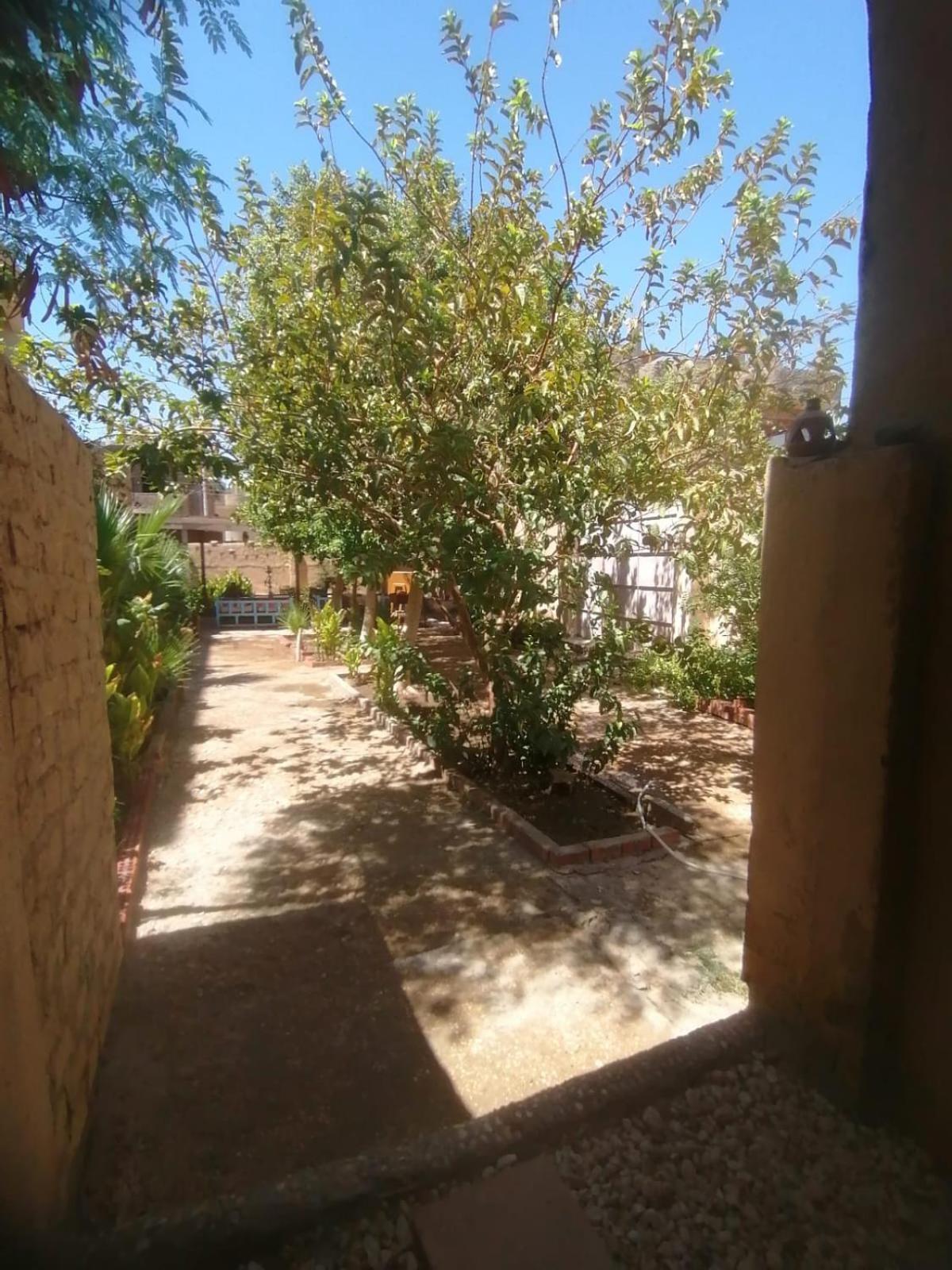 Rose Guest House Louxor Extérieur photo
