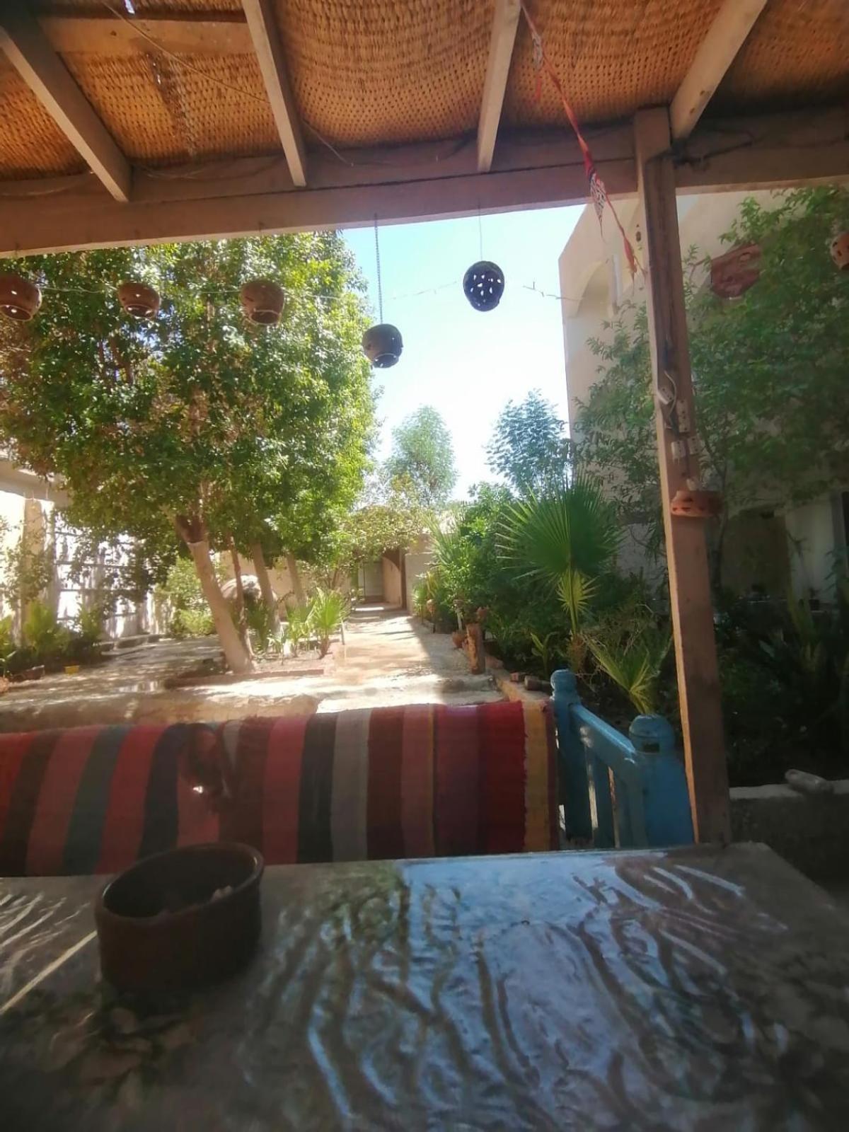 Rose Guest House Louxor Extérieur photo