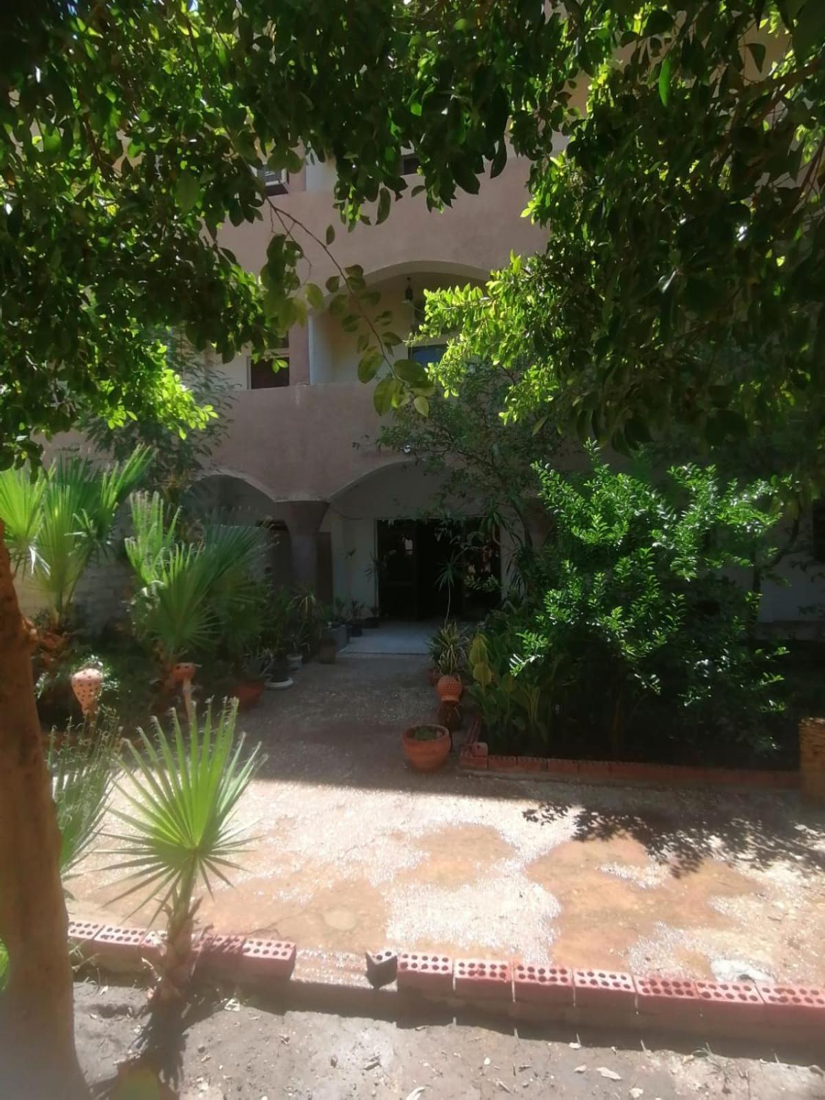 Rose Guest House Louxor Extérieur photo