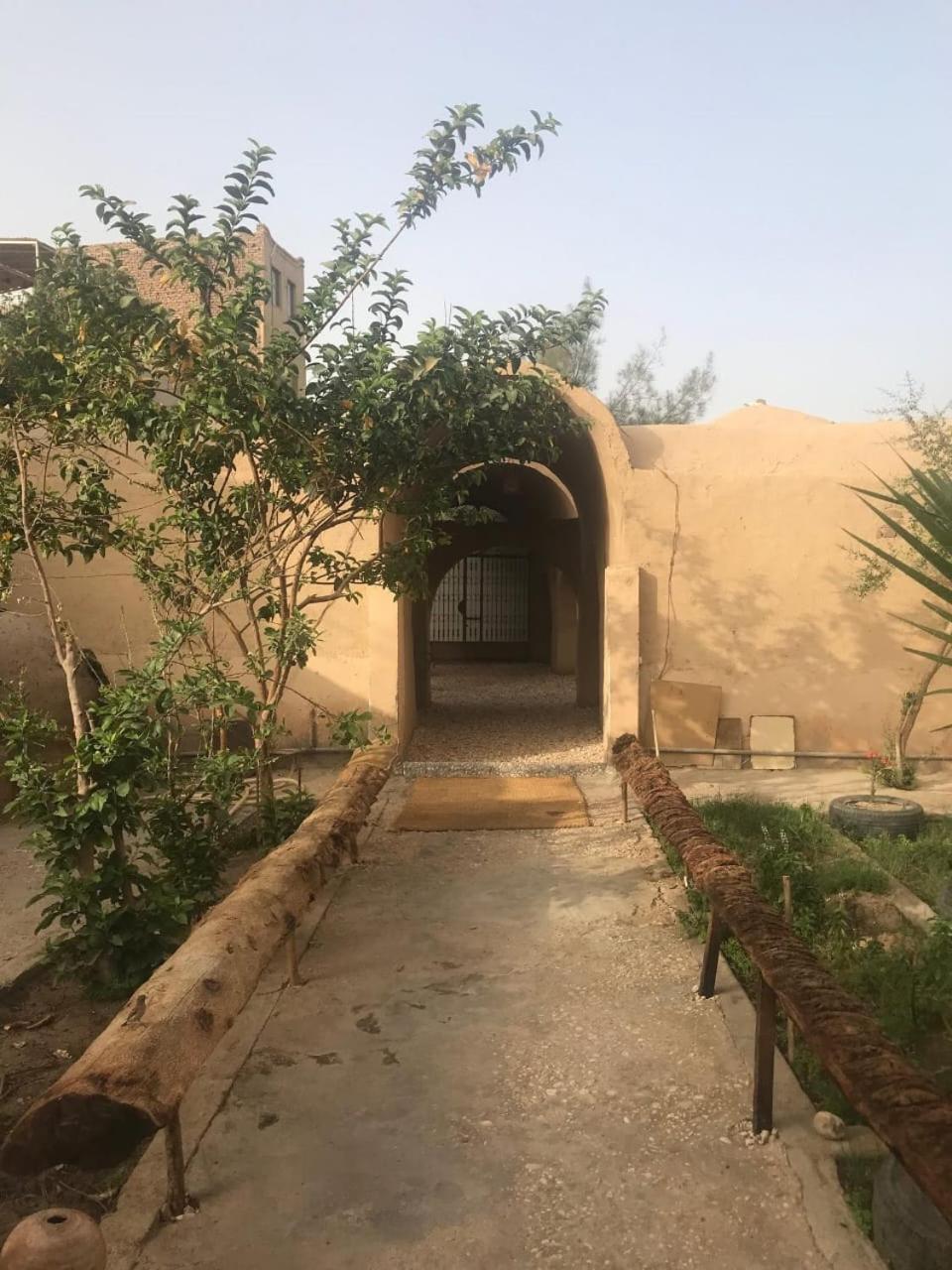 Rose Guest House Louxor Extérieur photo